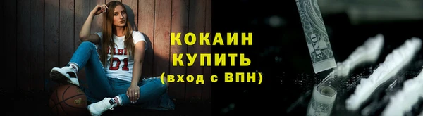 mix Бородино