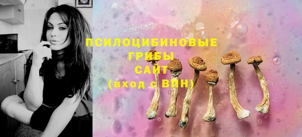 mix Бородино