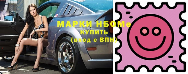 мдпв Верея